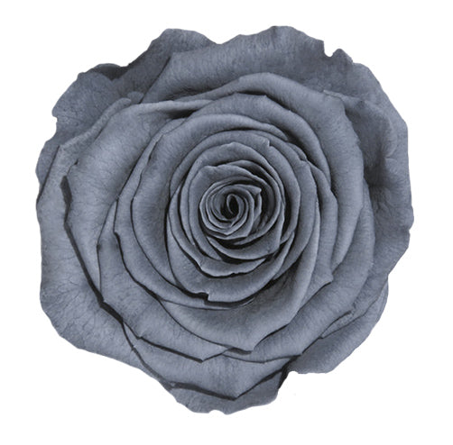 Grey Suedel Everlasting Rose Lindfield & Co Kent grey